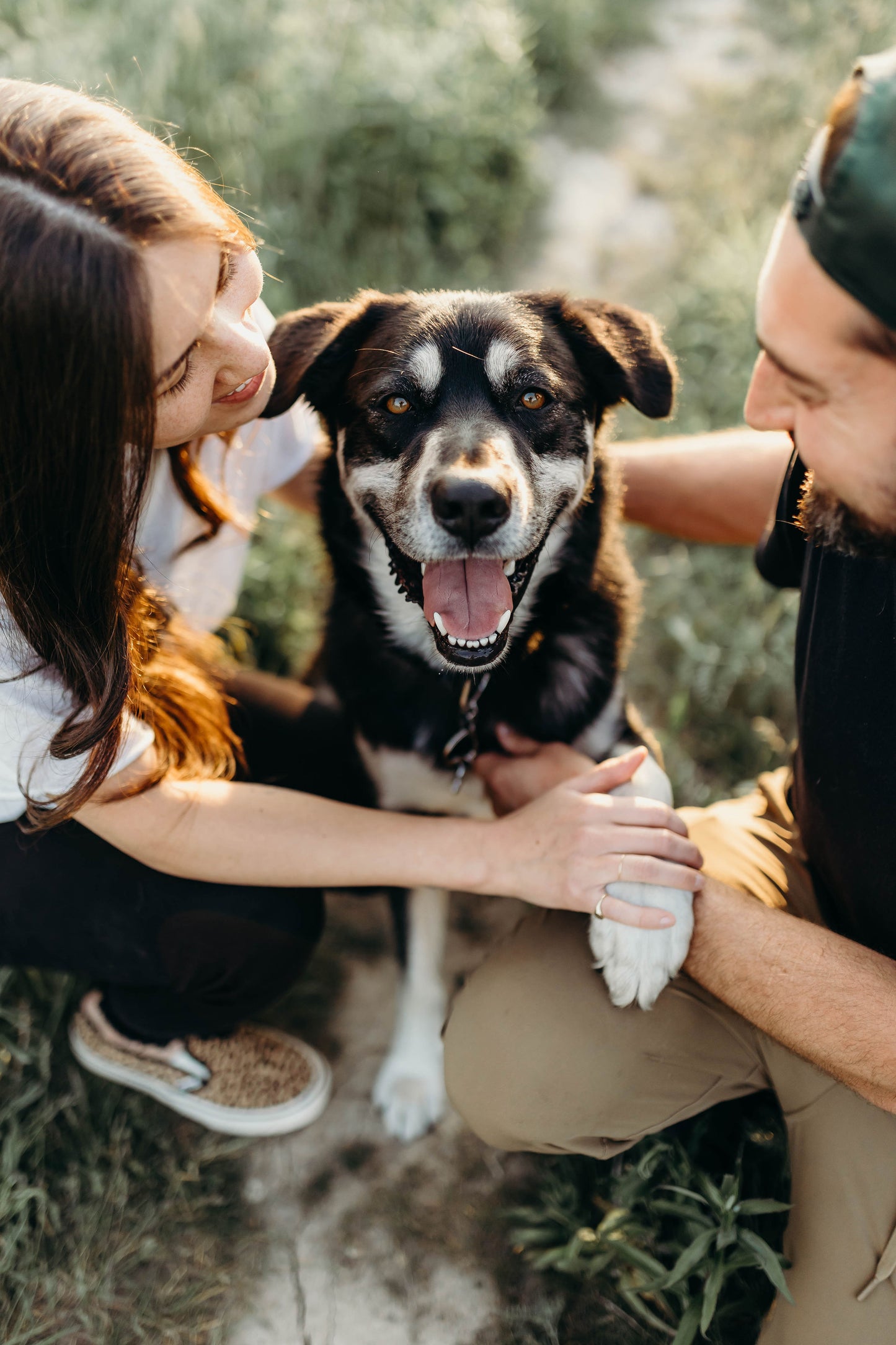 Pet Portraits with Bre