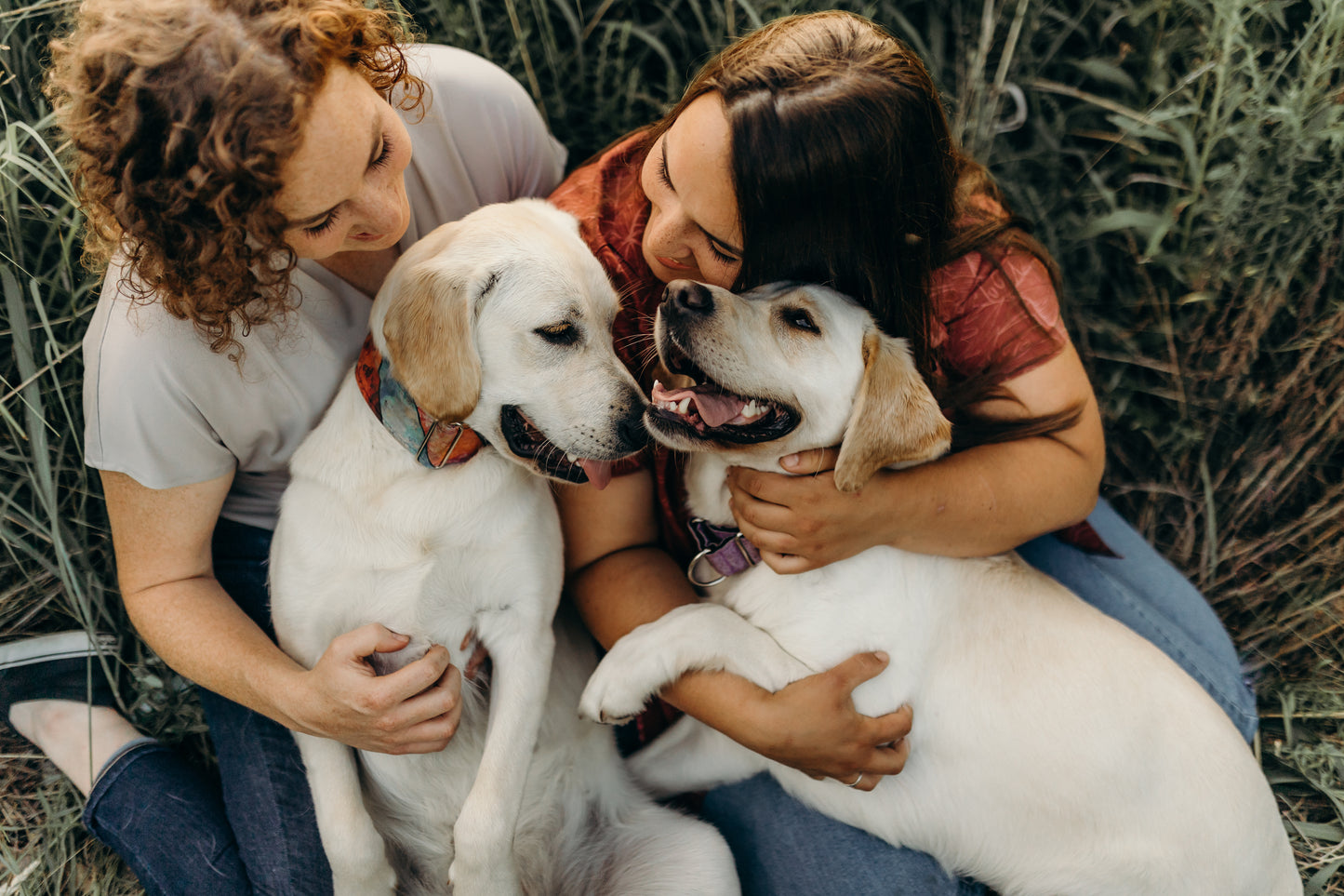 Pet Portraits with Bre