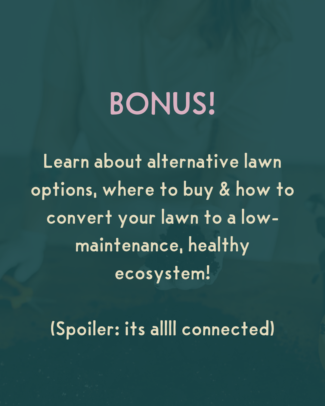 Workshop - Soil Primer with Stef