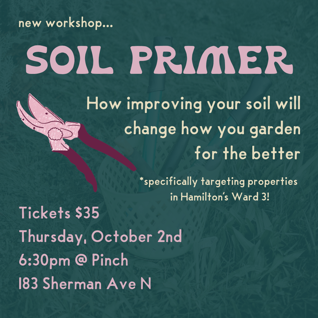 Workshop - Soil Primer with Stef