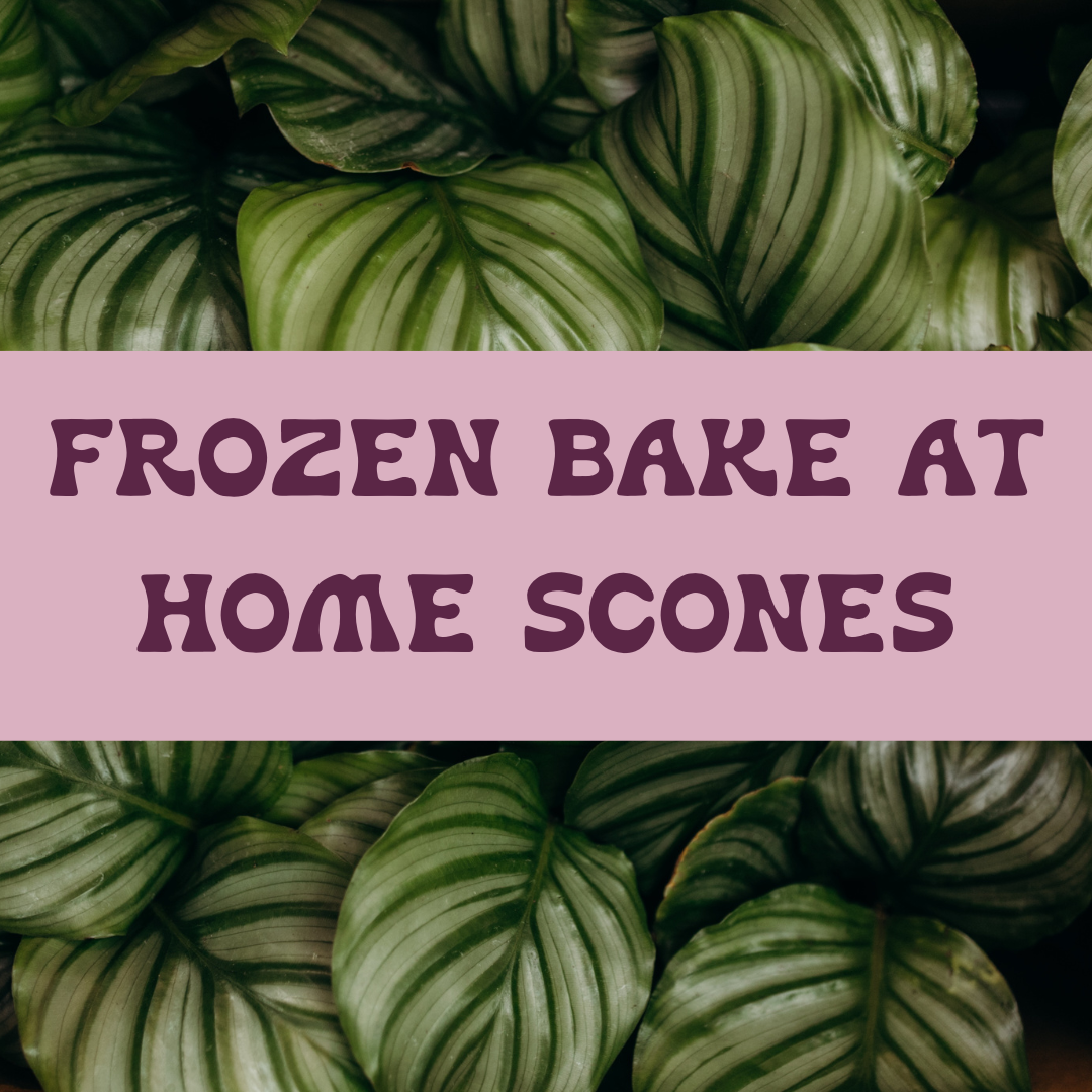 Frozen Bake at Home Scones