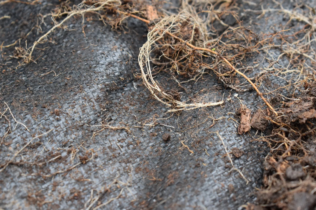 What Landscape Fabric Was Actually Made For (and Why It's Not Your Flower Bed)