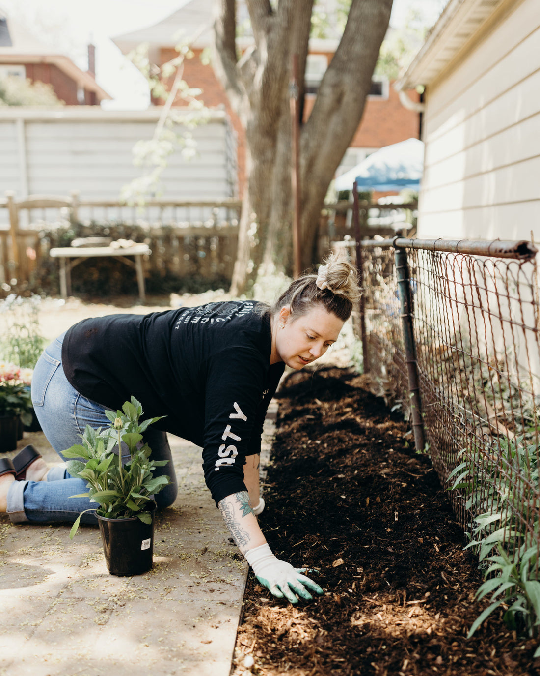 Soil Amendments for Hamilton Gardens: What to Add, When, and Why