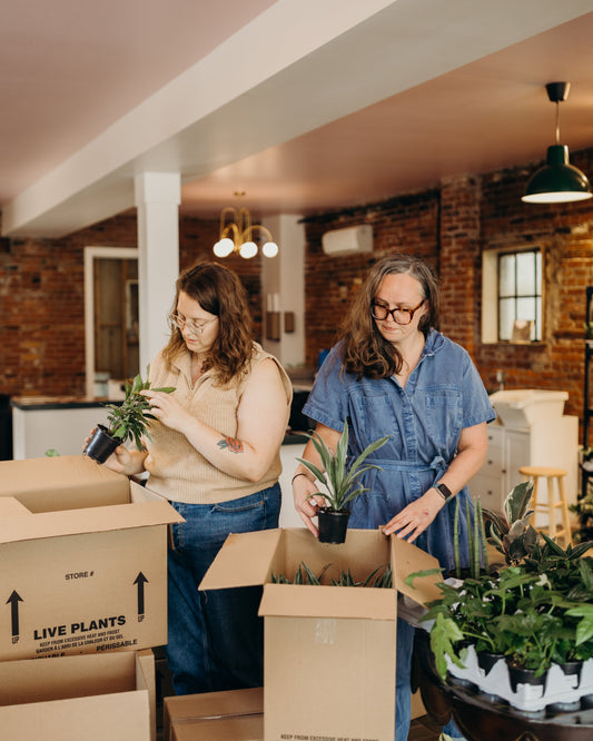 The 5-Minute Pest Check