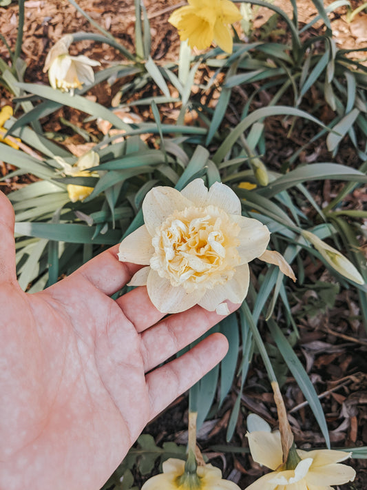 When to Actually Start Spring Cleanup in Hamilton (and Why Waiting is the Right Call)