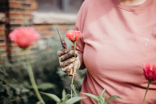 Pinching: The Gardening Technique Behind Our Name