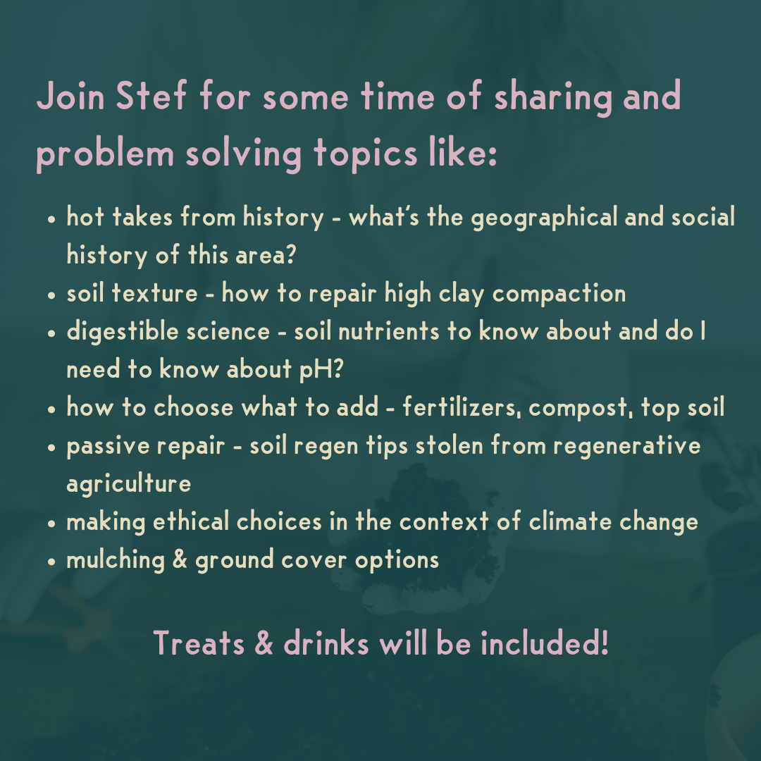 Workshop - Soil Primer with Stef
