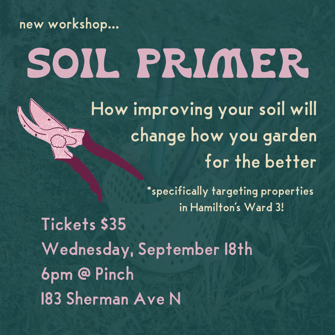 Workshop - Soil Primer with Stef